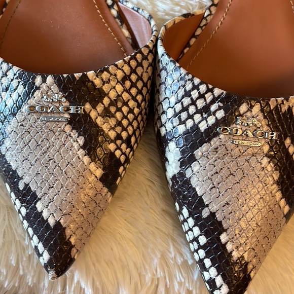 Coach Snakeskin Pointy Flats Size 9 - Picture 2 of 5
